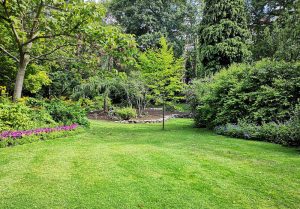 Optimiser l'expérience du jardin à Villeseque-des-Corbieres